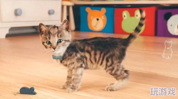 2024年必玩的小猫咪游戏精选：免费小猫咪游戏排名与推荐大全